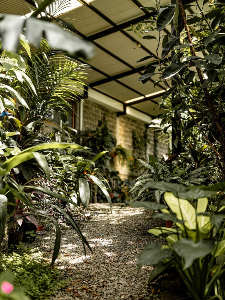 Mariposario y Restaurante My Time