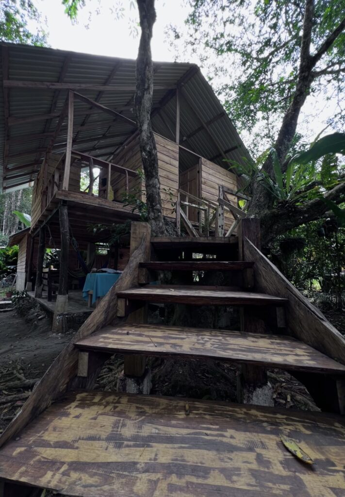 Surf & Ko