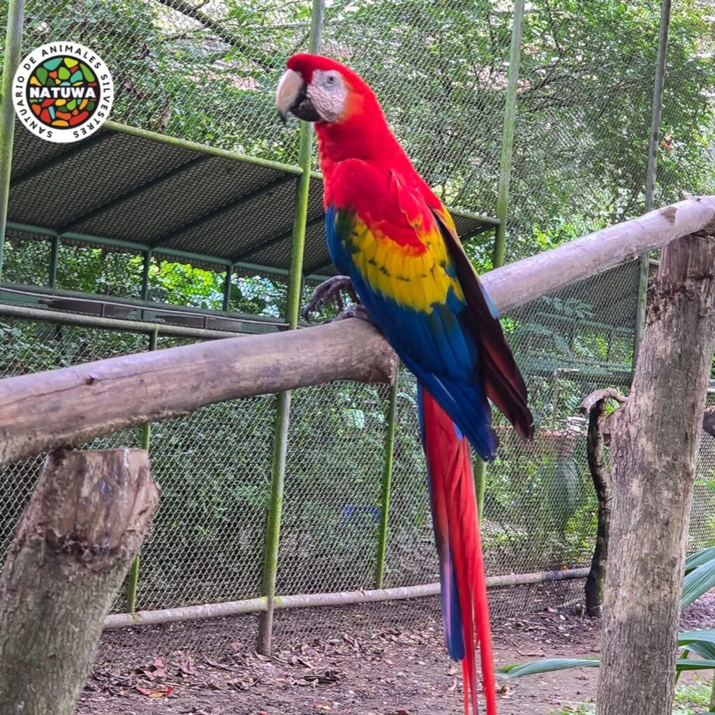 NATUWA, Centro de Rescate y Santuario de Vida Silvestre