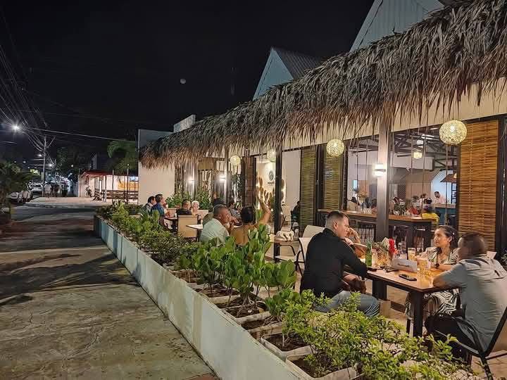 Hotel Oasis Beach Club